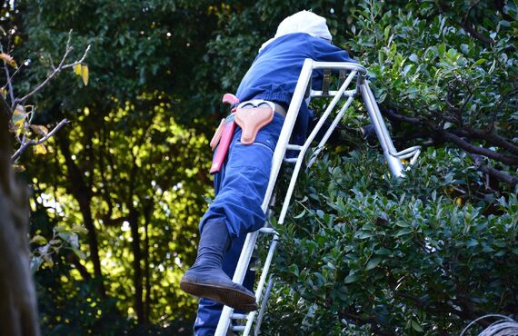 草刈り業者をお探しの方はご相談ください | 北九州市で伐採なら丁寧かつ迅速に作業を行う株式会社靏元工業